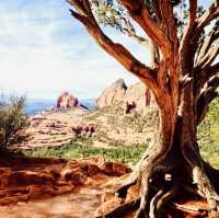 "Thrilling Four-Wheel Jungle Trekking in Sedona: An Exciting Outdoor Adventure"