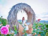 เที่ยวสวนกุหลาบเขาใหญ่