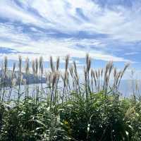 【シャコタンブルー】北海道/神威岬