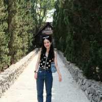 Alpaca Hill | สวนสัตว์ Open-Air ที่ต้องไปสักครั้ง
