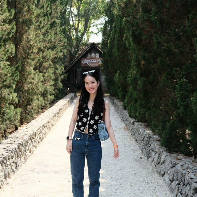 Alpaca Hill | สวนสัตว์ Open-Air ที่ต้องไปสักครั้ง