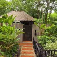 🌳Phapok Eco Resort