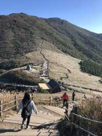 놓칠 수 없는 가을 억새 최고명소🍂 울산 간월재
