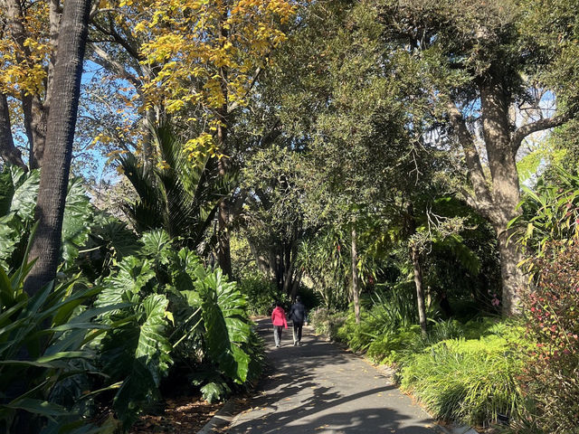 Royal Botanic Gardens Victoria - Melbourne Gardens