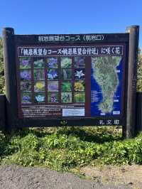 【礼文島】花の浮島桃岩展望台✨