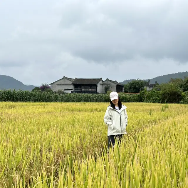 騰衝5日遊行程推介