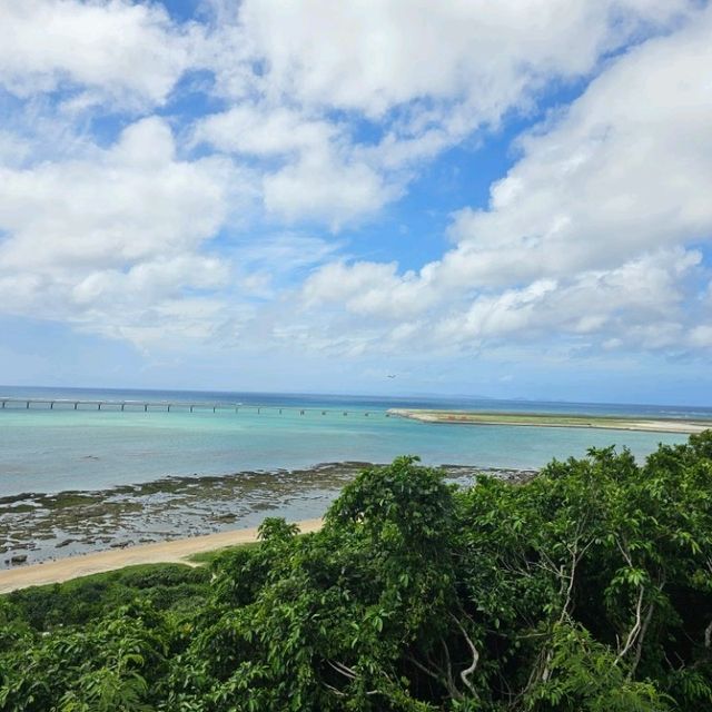 烈日當空看什麼飛機啦 | 瀨長島觀景台