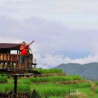 นาขั้นบันได บ้านป่างเปียง เชียงใหม่