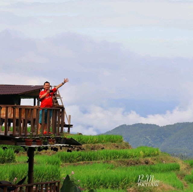 นาขั้นบันได บ้านป่างเปียง เชียงใหม่