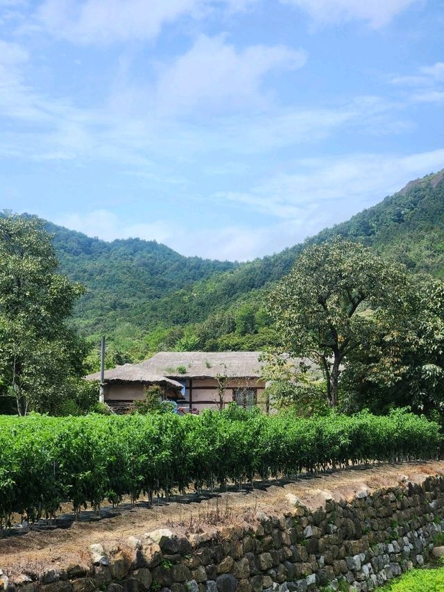 ❤️한적하게 산책하며 데이트하기 좋은, "고성 왕곡마을"❤️