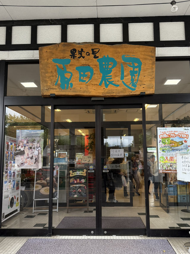 【群馬県/沼田】原田農園で秋の味覚を楽しむ🍇