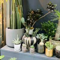 【渋谷】THE LITTLE BAR OF FLOWERS - パルコ横にあるオシャレな花屋さん -