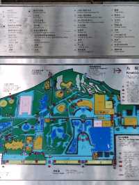 홍콩 도심에서 홍학을 만날 수 있는 구룡공원(kowloon park)