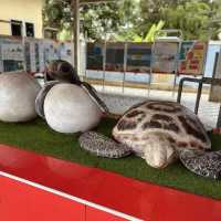 Pusat Hiasan Ikan, Port Dickson – A Hidden Gem for Marine Lovers