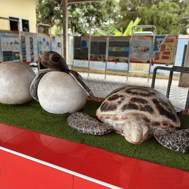 Pusat Hiasan Ikan, Port Dickson – A Hidden Gem for Marine Lovers