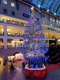 【サッポロファクトリー:北海道札幌市】毎年綺麗なクリスマスツリーが見れるよ🎄✨