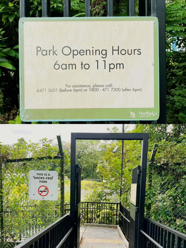 A Day at HortPark: Singapore’s Gardening Haven