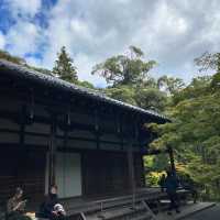 麻生不動院：小橋流水中的日式韻味 🌸🏯