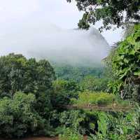 แพภูตะวัน สุราษฎร์ธานี