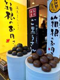 日遊箱根湯本溫泉街，必買溫泉手信同浸温泉