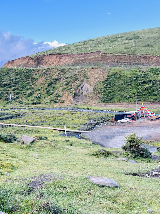 🇨🇳 Nature’s Embrace: A Close Encounter in Kangding