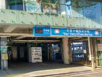 💫🌐香港歷史⛴️渡海小輪•舊式輪船新式碼頭