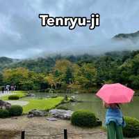 วัดเซ็นและทางเดินป่าไผ่ 🎋