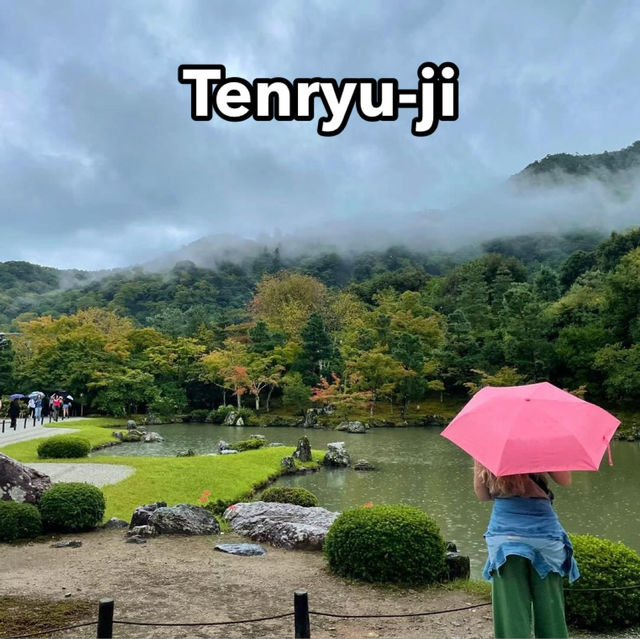 วัดเซ็นและทางเดินป่าไผ่ 🎋