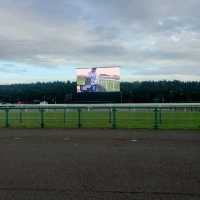 海が臨めるのどかな競馬場