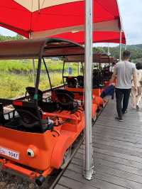춘천여행 레일바이크 김유정역 🛤️