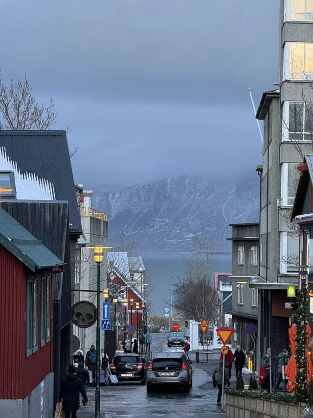 🇮🇸冰島市區地標Hallgrimskirk大教堂