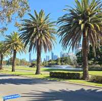 Riverfront Bliss: Strolling Along the Swan River