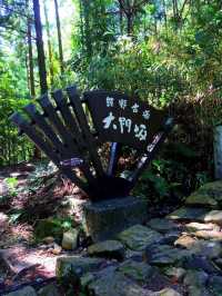 【世界遺産】「よみがえりの地」熊野古道を歩く