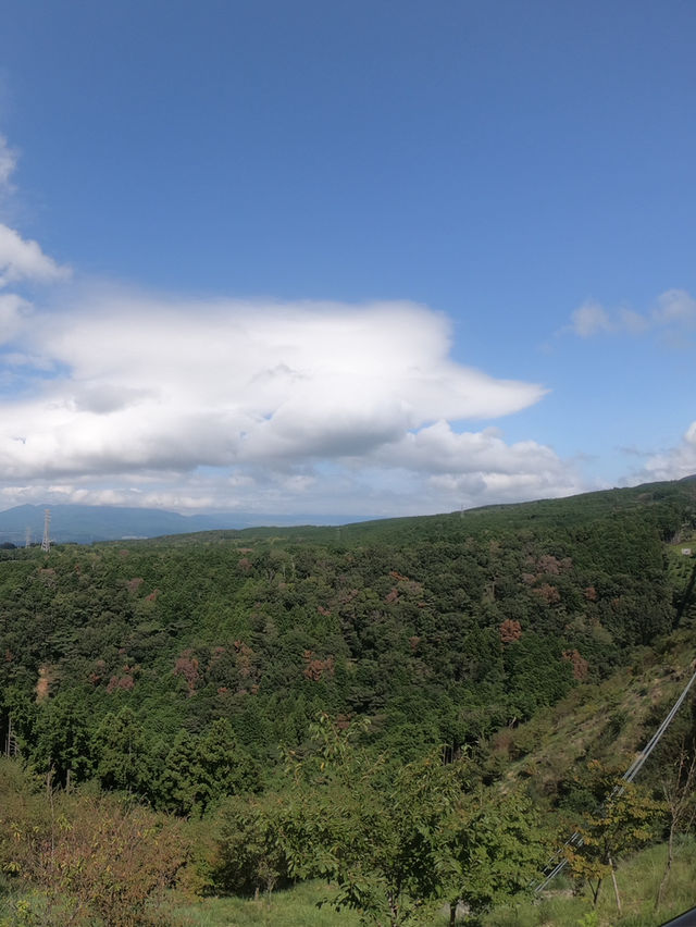 【静岡🇯🇵】富士山の見える日本最長の吊り橋🗻