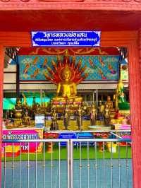 สายมูต้องมา