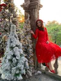 B-Story Garden Cafe & Restaurants