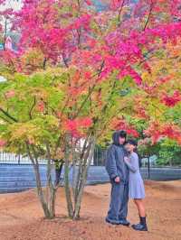 무주 단풍핫플을 찾으신다면 여기예요🍁