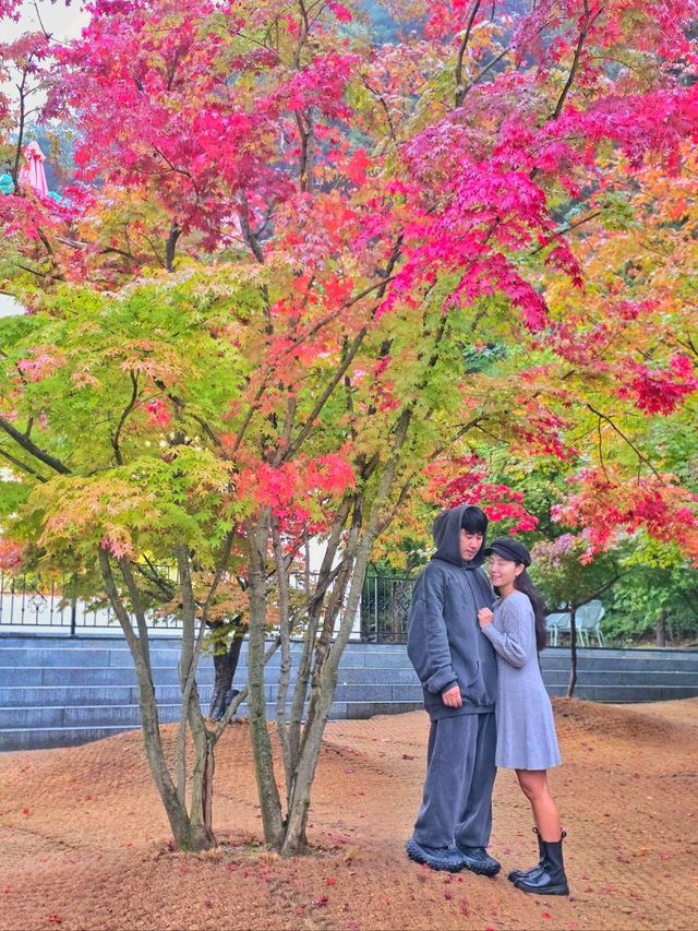 무주 단풍핫플을 찾으신다면 여기예요🍁