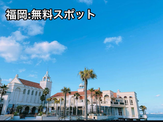 【福岡:無料スポット】シーサイドももち海浜公園🏖️