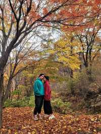 가장 빠른 단풍을 볼수 있는 시월의 단풍여행지🍁