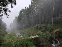 Alishan's Dawn to Dusk Magic