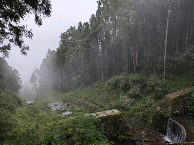 Alishan's Dawn to Dusk Magic