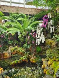 Botanic Garden in Singapore
