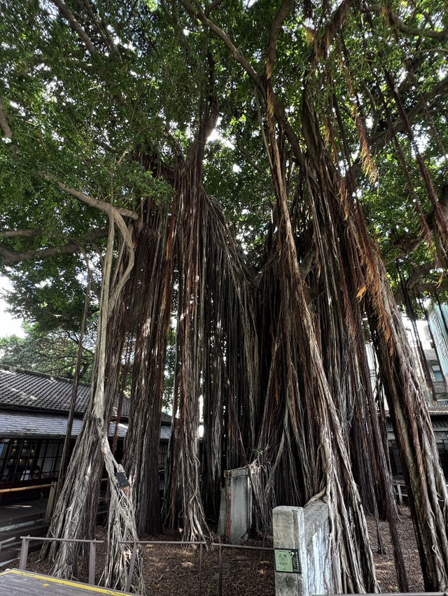 台中市區裡的小文青景點！
