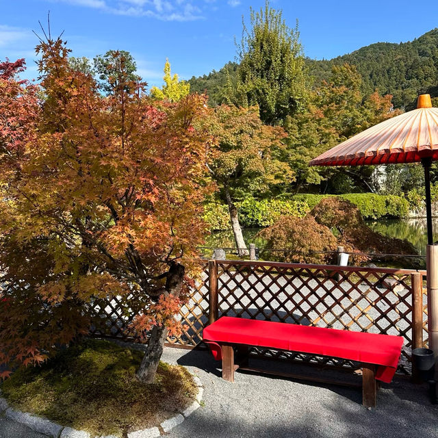 住吉大社：秋色中的神聖與靜謐 🍁