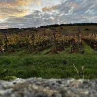 Dijon France. Famous for its vineyards and night bars 