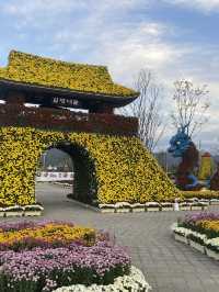 국화축제를 즐기고 싶다면! (부산근교 국화축제)