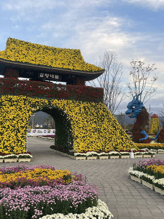 국화축제를 즐기고 싶다면! (부산근교 국화축제)