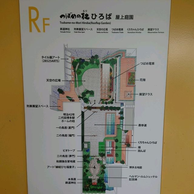 JR博多駅ビルの屋上展望台「つばめの杜ひろば」