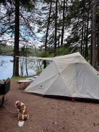 A wonderful camping in park ❤️